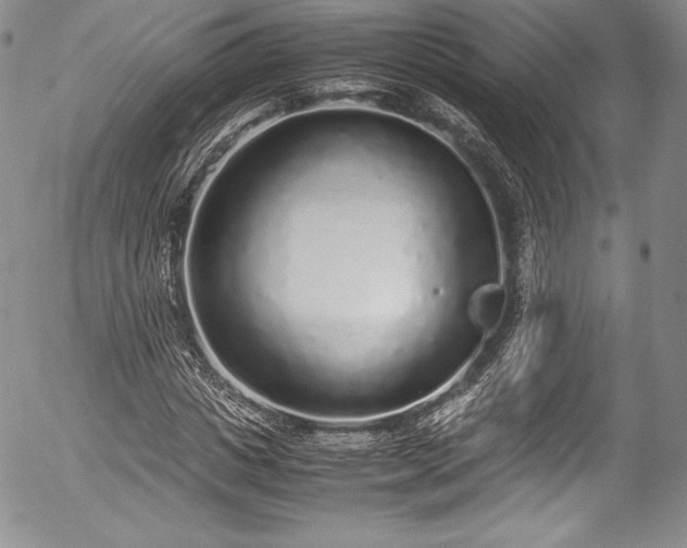 X0000054370825200508011218