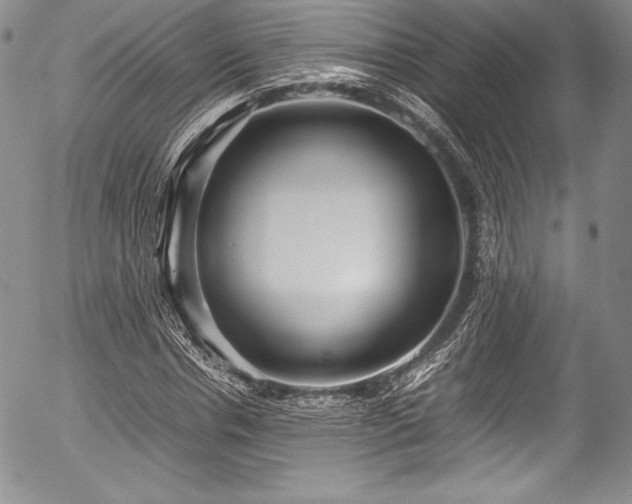 X0000054370826200508011218