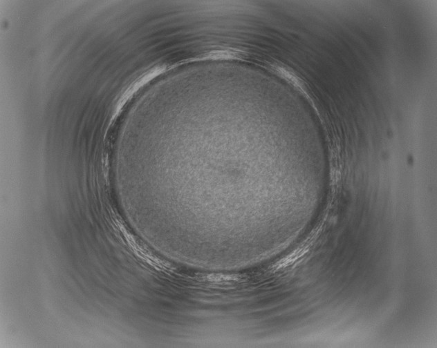 X0000054370827200508011218