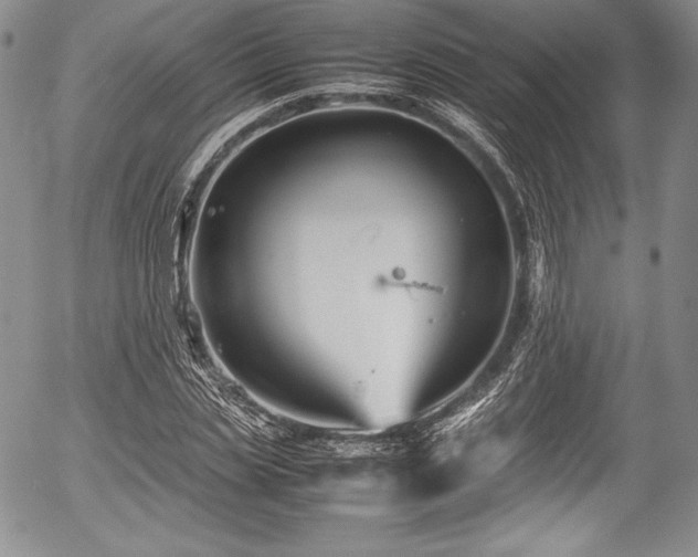 X0000054370829200508011218