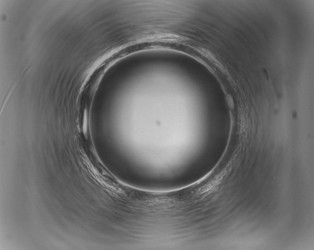 X0000054370830200508011218