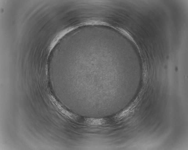 X0000054370831200508011218