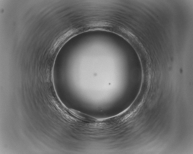 X0000054370833200508011218