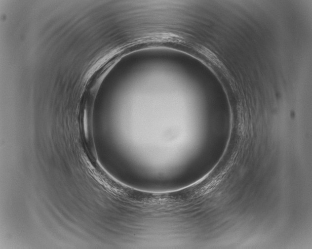 X0000054370834200508011218