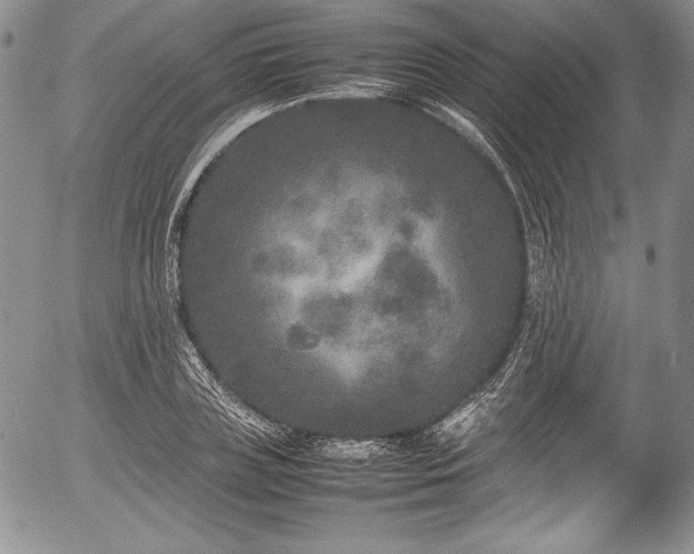 X0000054370835200508011218