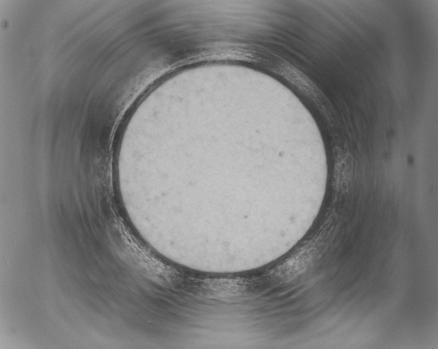 X0000054370836200508011218