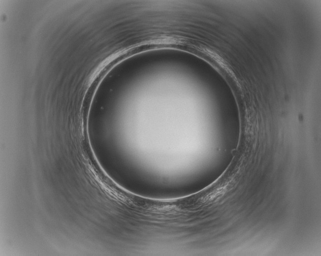 X0000054370837200508011218