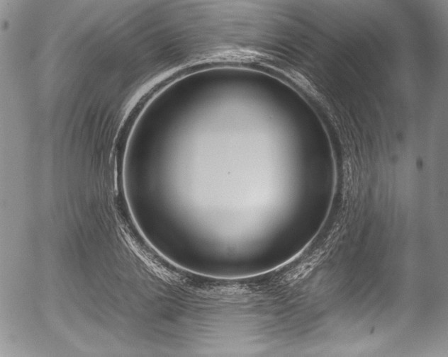 X0000054370838200508011218