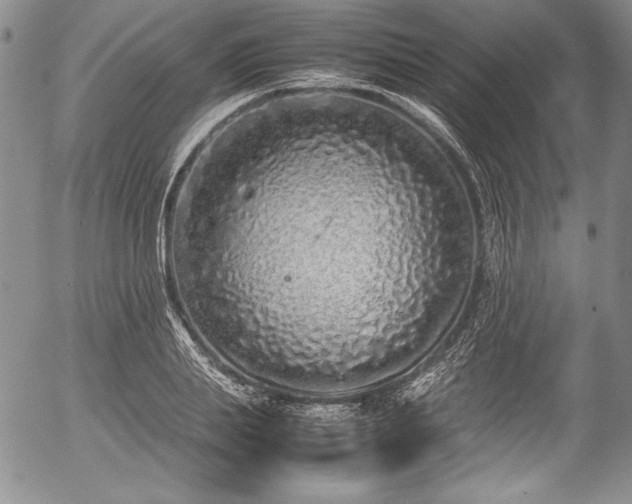 X0000054370839200508011218