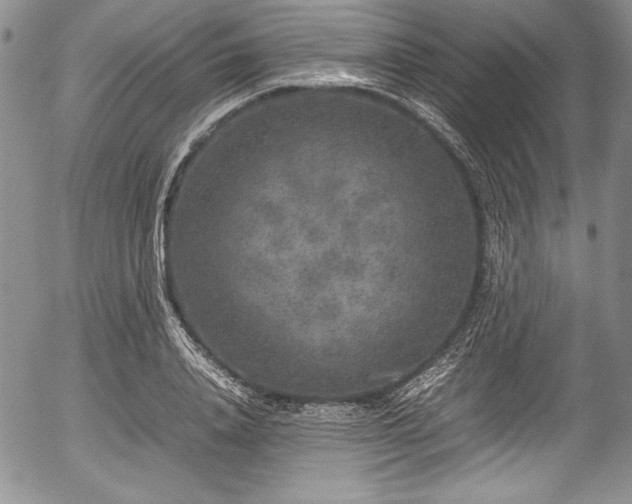 X0000054370840200508011218