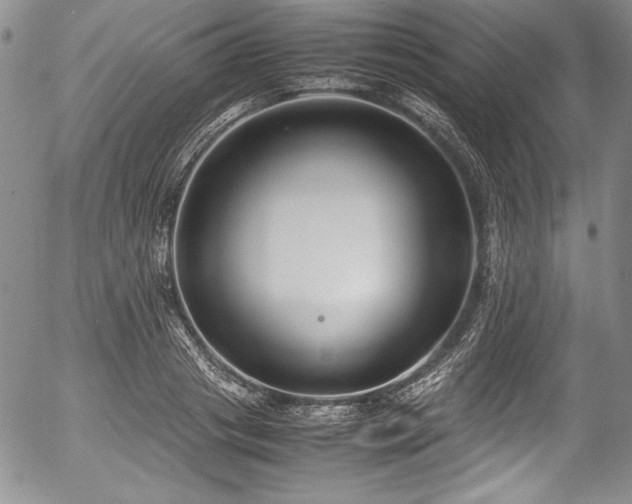 X0000054370841200508011218