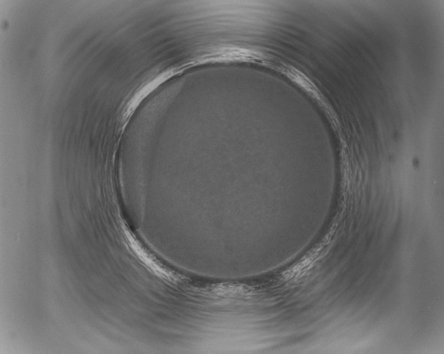 X0000054370842200508011218