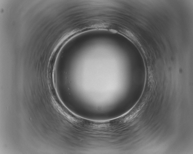 X0000054370843200508011218