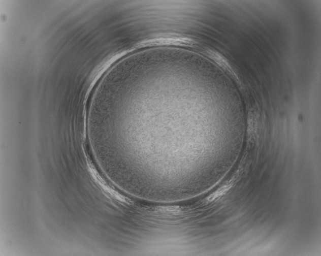 X0000054370844200508011218