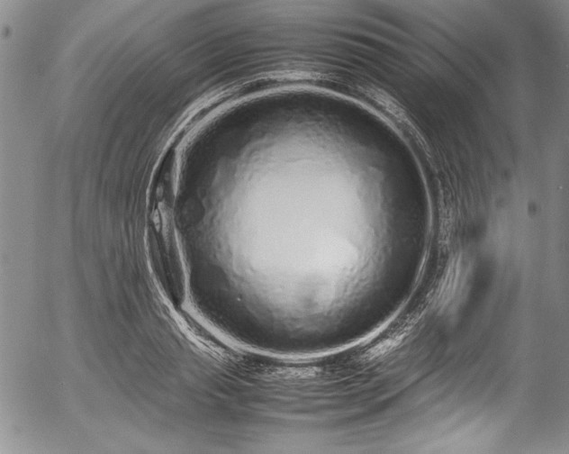 X0000054370845200508011218