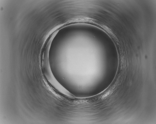 X0000054370846200508011218