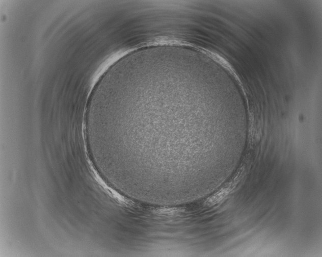 X0000054370847200508011218