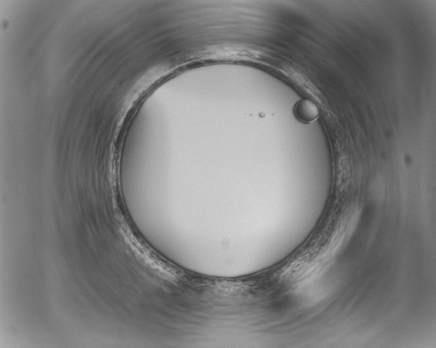 X0000054370848200508011218