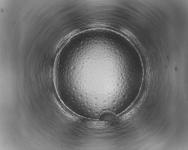 X0000054370849200508011218