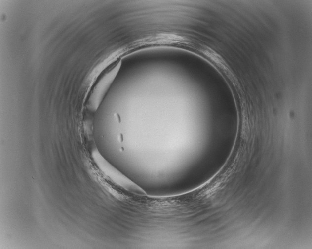 X0000054370850200508011218