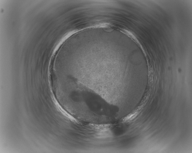 X0000054370851200508011218