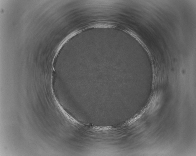 X0000054370853200508011218