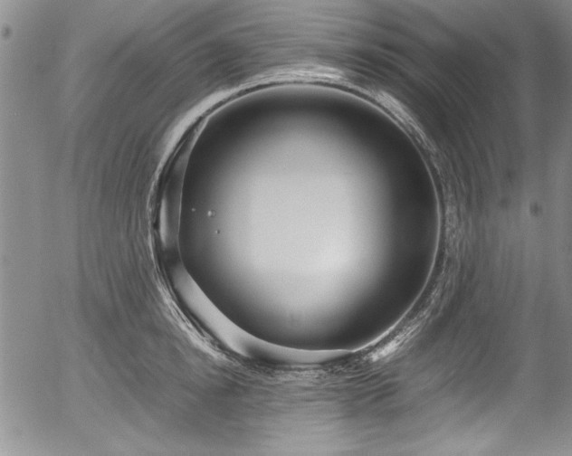 X0000054370854200508011218