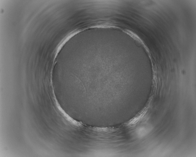 X0000054370855200508011218