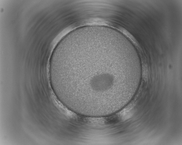 X0000054370856200508011218