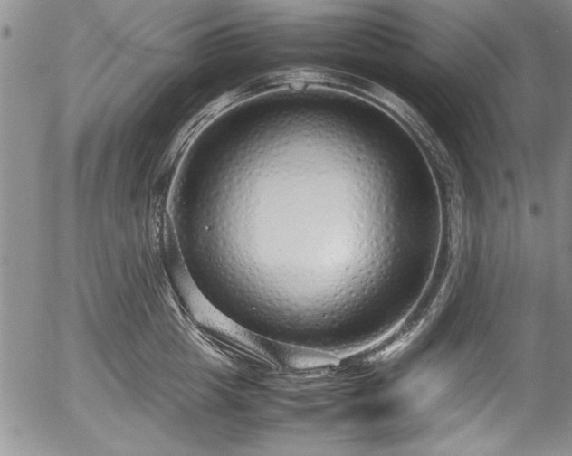 X0000054370857200508011218