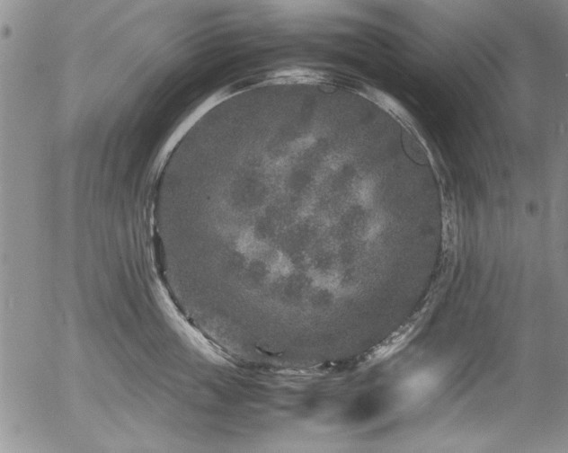 X0000054370859200508011219