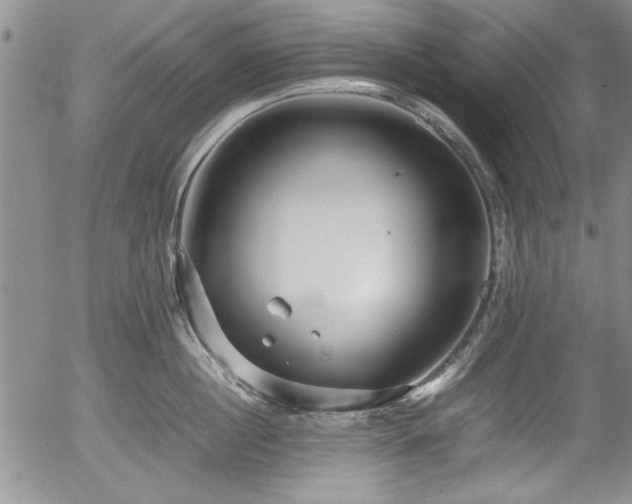 X0000054370860200508011219