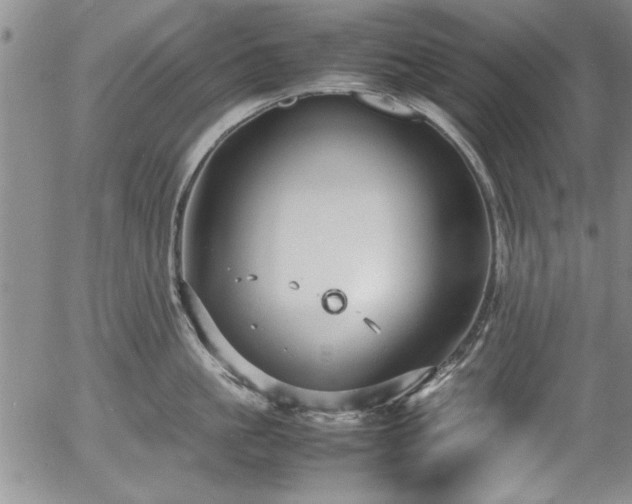 X0000054370861200508011219