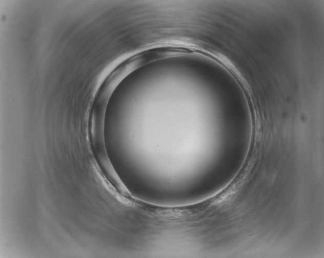 X0000054370862200508011219