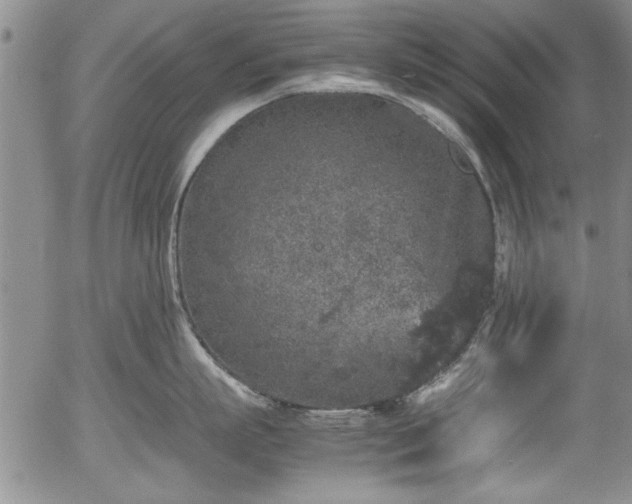 X0000054370863200508011219