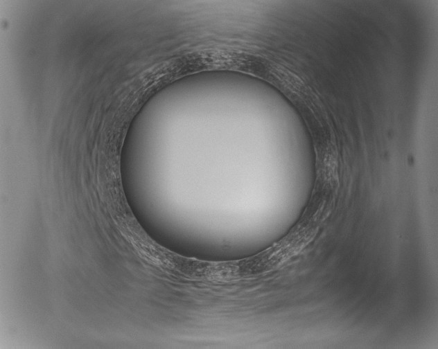 X0000054370865200508011218