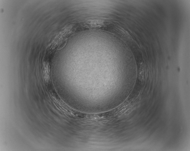 X0000054370866200508011218