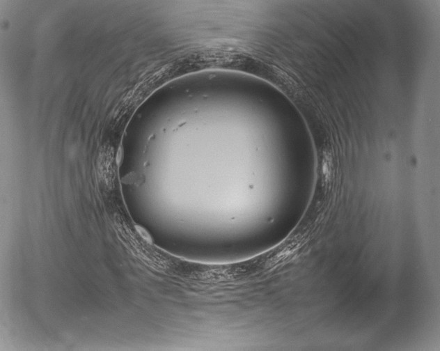 X0000054370867200508011218