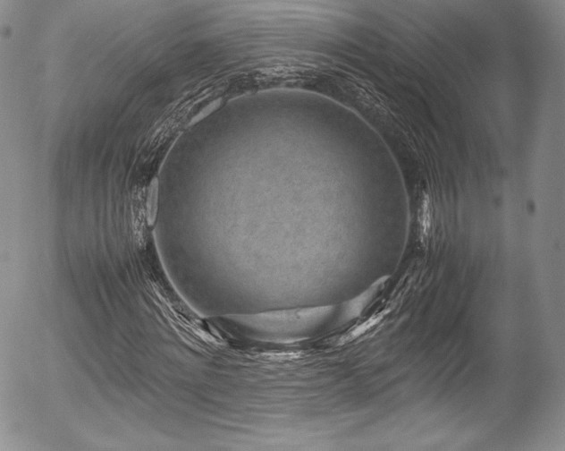 X0000054370868200508011218