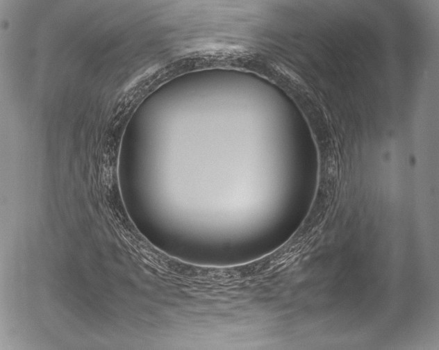 X0000054370869200508011218