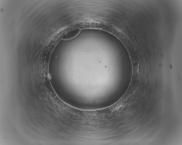 X0000054370870200508011218