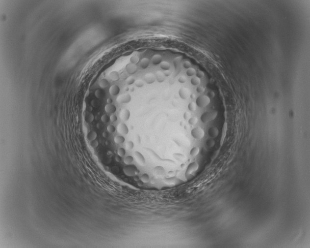 X0000054370871200508011218