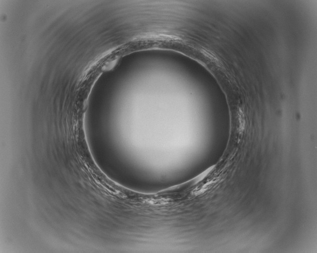 X0000054370872200508011218