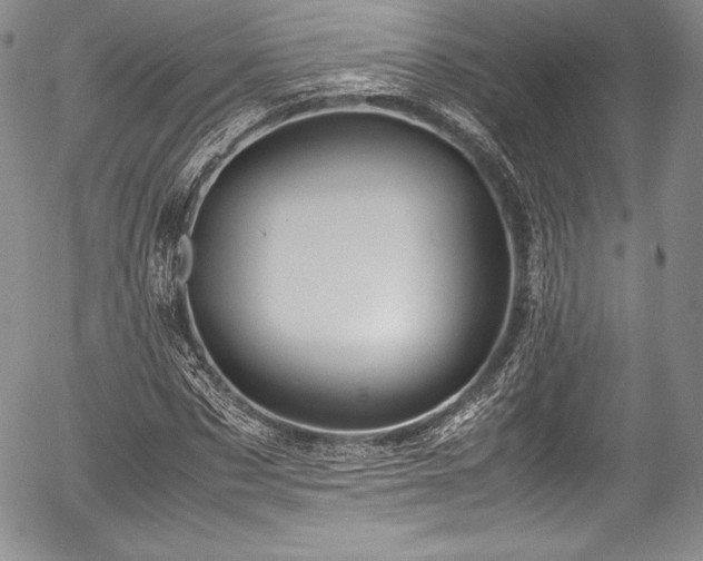 X0000054370873200508011218