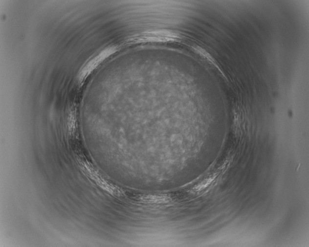 X0000054370874200508011218