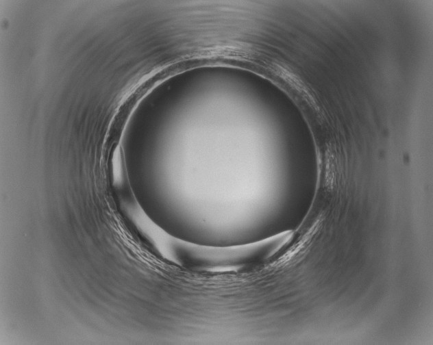 X0000054370876200508011218