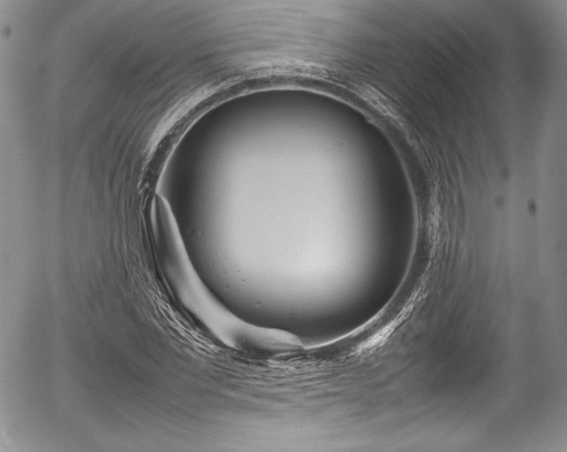 X0000054370877200508011218