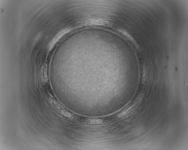 X0000054370878200508011218