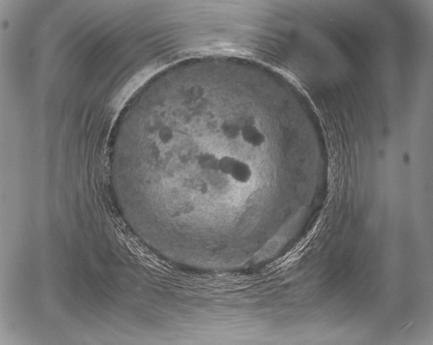 X0000054370879200508011218