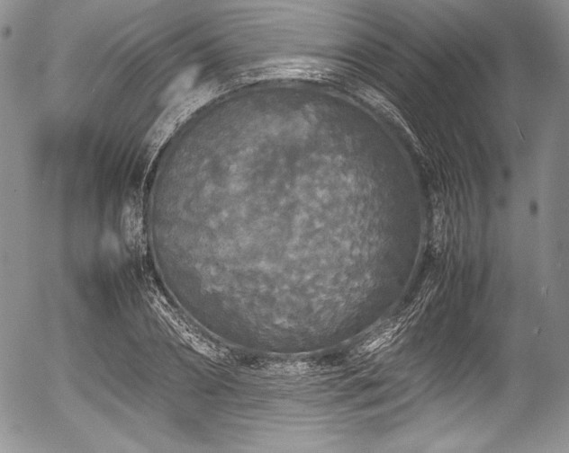 X0000054370882200508011218